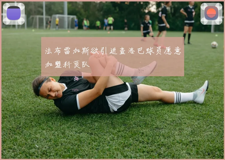 法布雷加斯欲引进查洛巴球员愿意加盟科莫队