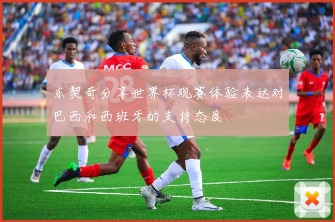 东契奇分享世界杯观赛体验表达对巴西和西班牙的支持态度
